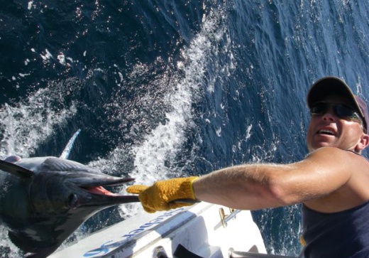 reef & game fishing charters terrigal central coast